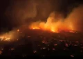 Feuer auf Hawaii - Über 67 Todesopfer 5 Luftaufnahme der durch Feuer verwüsteten Landschaft auf Hawaii mit sichtbaren Zerstörungen und Rauchsäulen