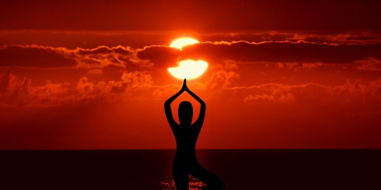 Bleiben Sie auf dem Laufenden: Entdecken Sie den neuen Trend, der sich gerade durchsetzt