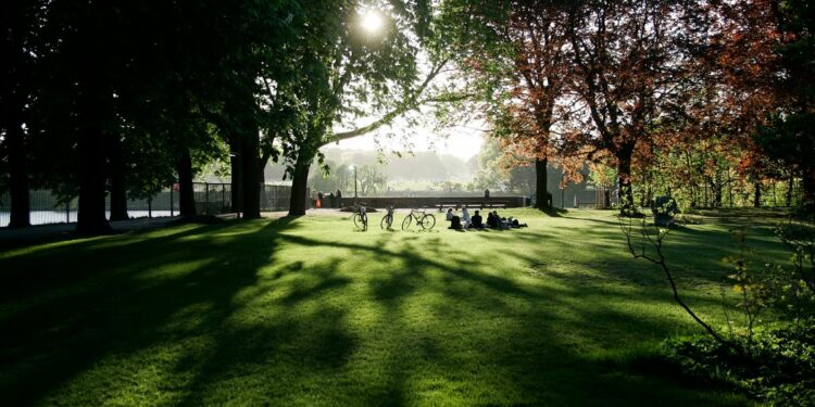 Herbstliche Szene mit bedecktem Himmel illustriert den reduzierten Sonnenlichteinfall und damit verbundenen Vitamin D Mangel