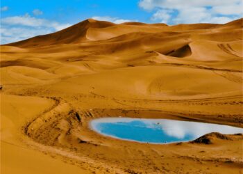 Wüstenbegrünung: Luftaufnahme einer grünen Oase inmitten einer kargen Wüstenlandschaft als Beispiel für Desert Greening