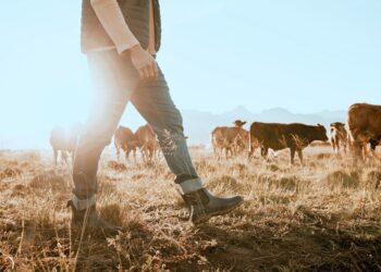 Investieren in 2025 mit fundierter Expertise für nachhaltige Anlagestrategien und maßgeschneiderte Finanzlösungen