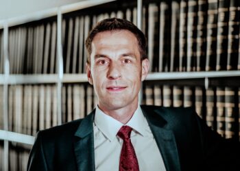 Rinder-Rendite: Bild