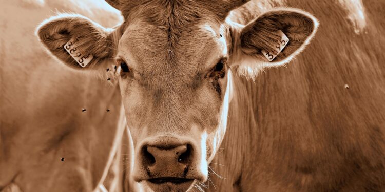 Wie Geld richtig anlegen 2025: Innovative Strategien für maximale Rendite <a href="https://rendite.de" target="_blank" rel="noopener noreferrer">zur Website</a> 1 Wie Geld richtig anlegen 2025 Abbildung