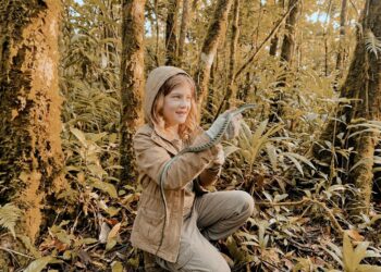 Den Namen tanzen Visualisierung