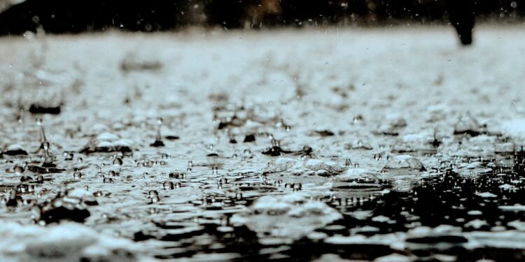 Der Geruch von Regen Darstellung