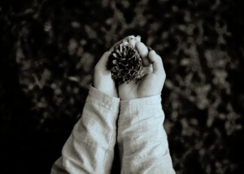 Doomsday Vault Abbildung