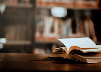 Bild Neue Rechtsformen in Europa