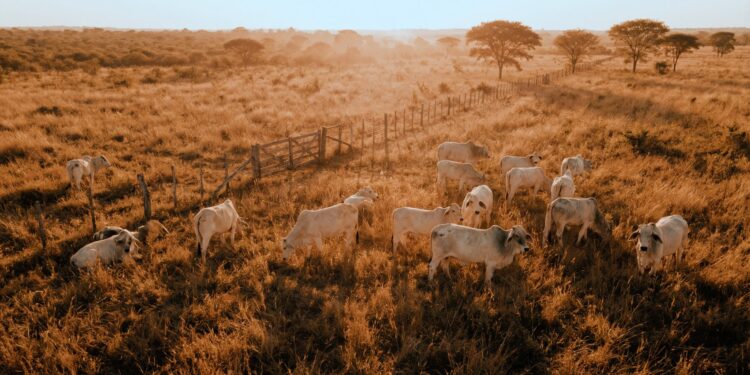 Investitionen Visualisierung